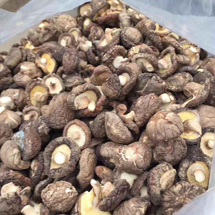 湖北随州特产香菇 优质干菇，散装代发大量供应
