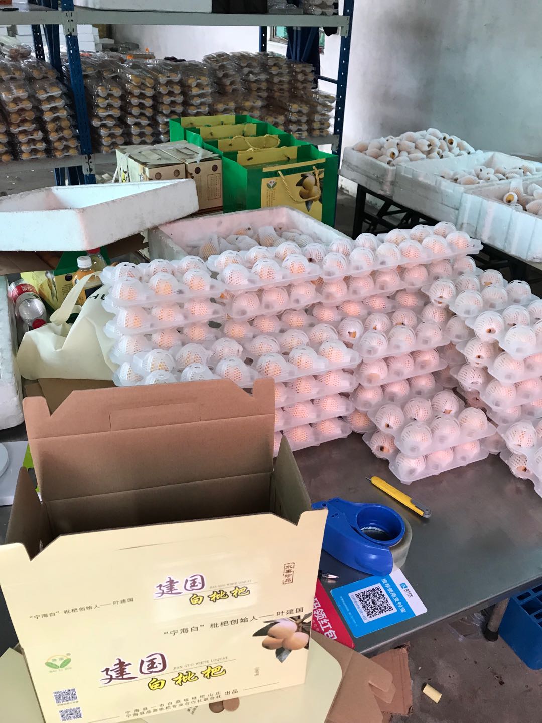 宁海白枇杷 当季鲜果，独特风味，尽享初夏清甜