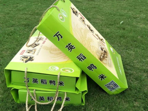 松江大米香飘申城 探访优秀产销联合体与批发新格局